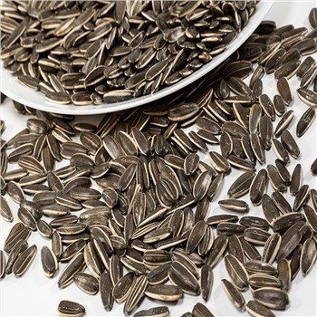 Raw Material Sunflower Seeds