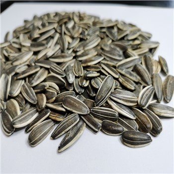 High Quality Sunflower Seeds 361type 180-190pcs Per 50g