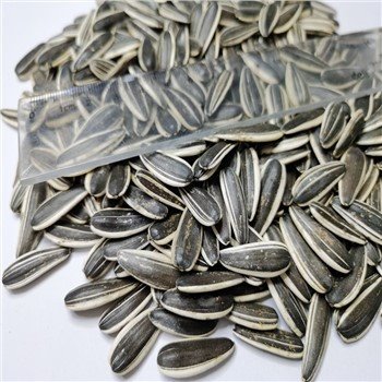 Inshell Sunflower Seeds 601type 250-260pcs Per 50g