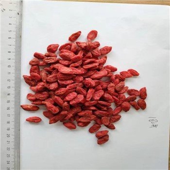 Low Pesticide Dried Goji Berries 180pcs Per 50g