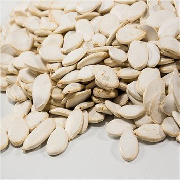 Snow White Pumpkin Seeds in Shell for Wholesale