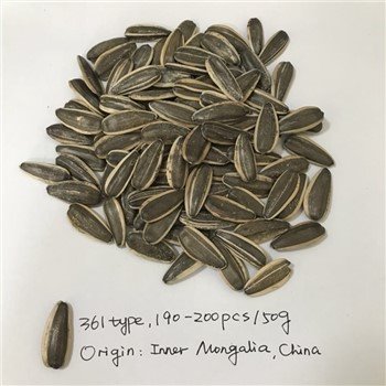 Sunflower Seeds 361type 190-200pcs Per 50g