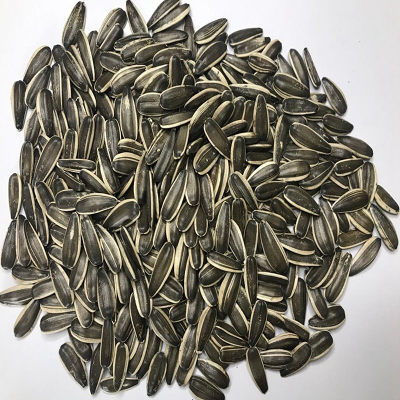 Sunflower Seeds 363type 210-220pcs Per 50g